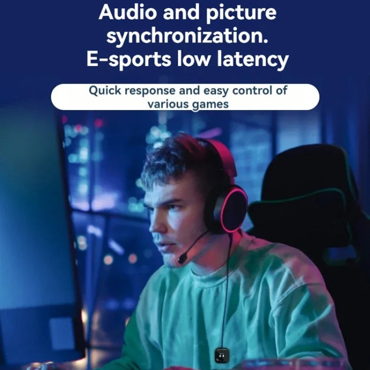 5.8GHz Wireless In-Ear Monitor System - Dual Earphone Support